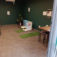 画像1017
