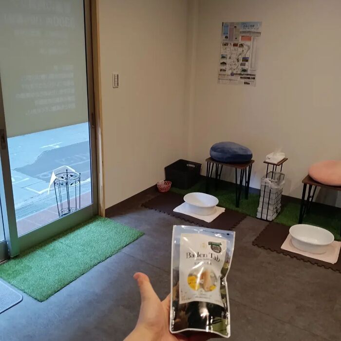 画像1049