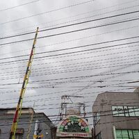 画像1272