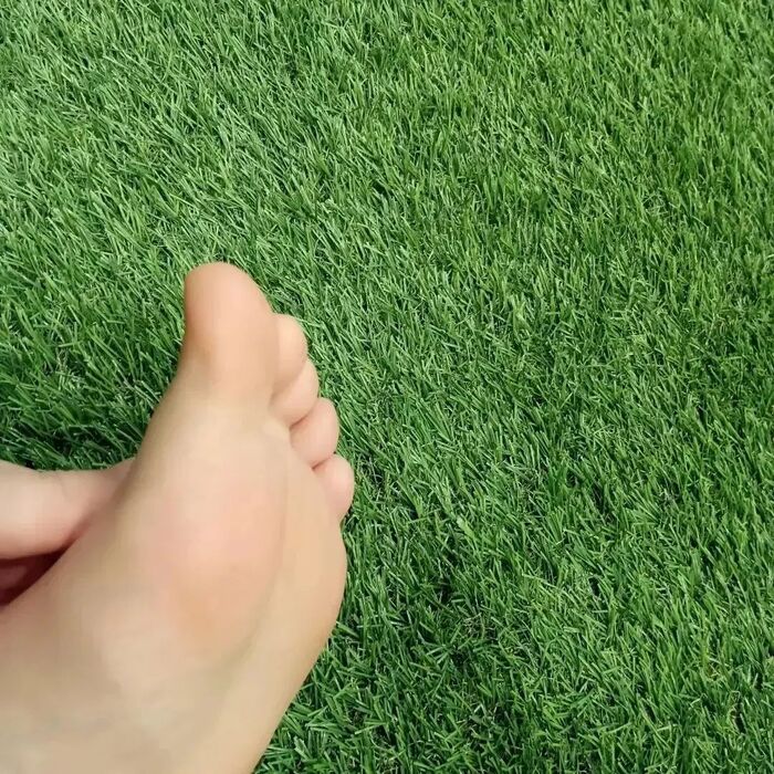 画像1308