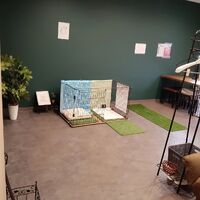 画像1353