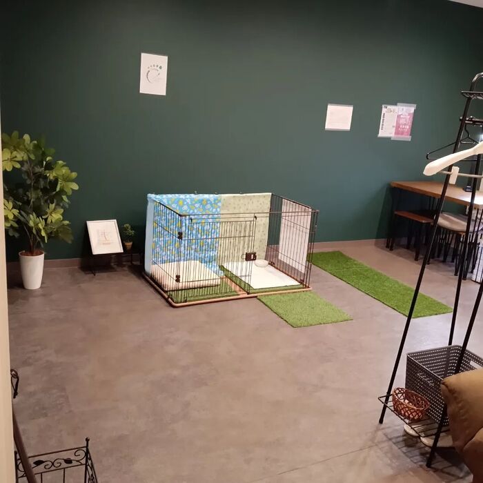 画像1353