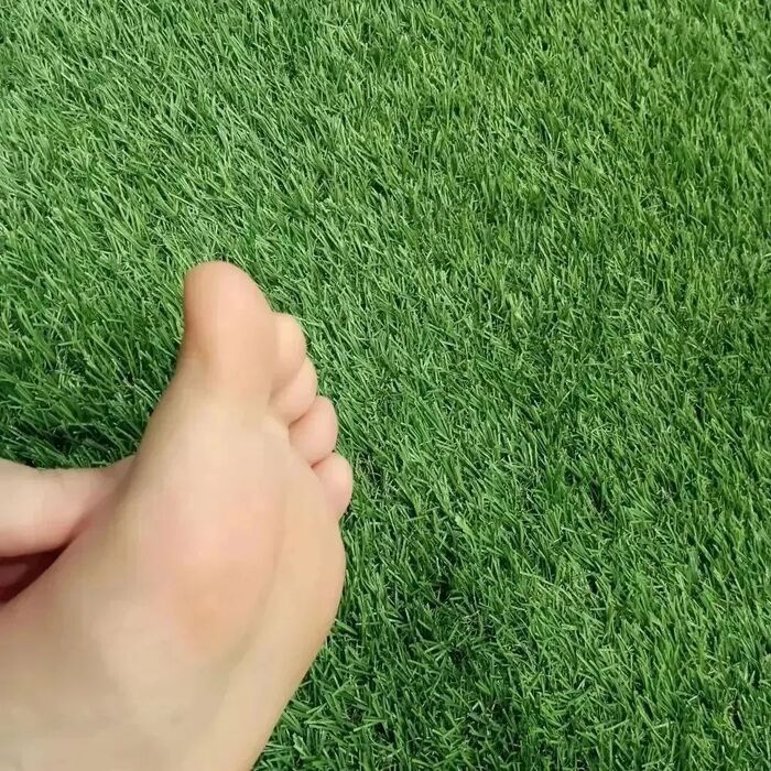 画像1536