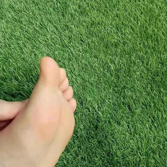 画像1677