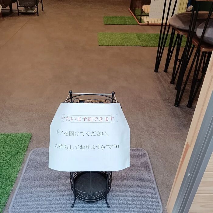 画像1698