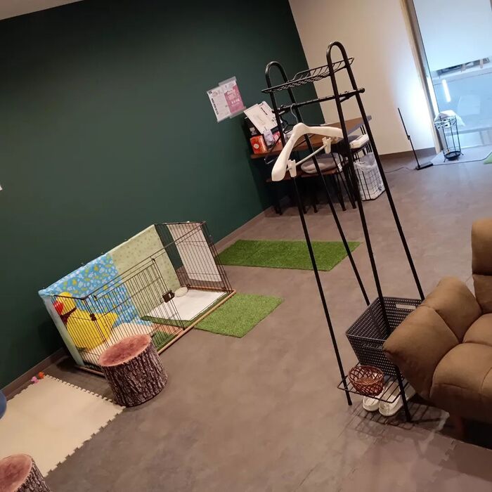 画像1735