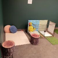 画像1736