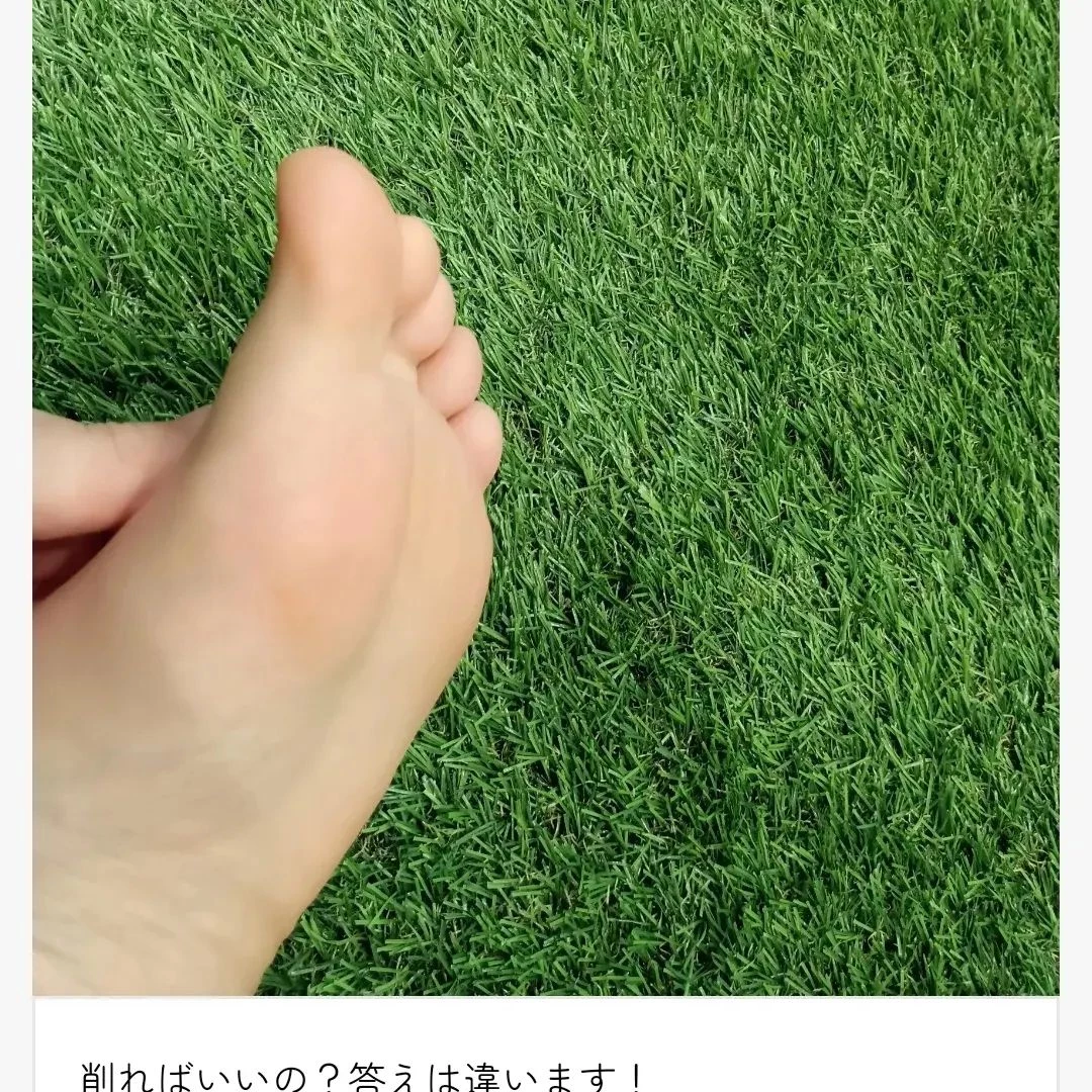 画像1947