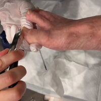 画像2017