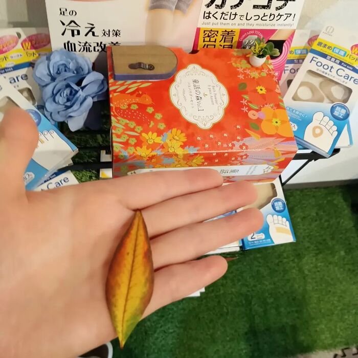 画像2047