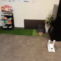 画像2154