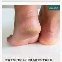 画像2176
