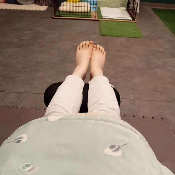 画像2203