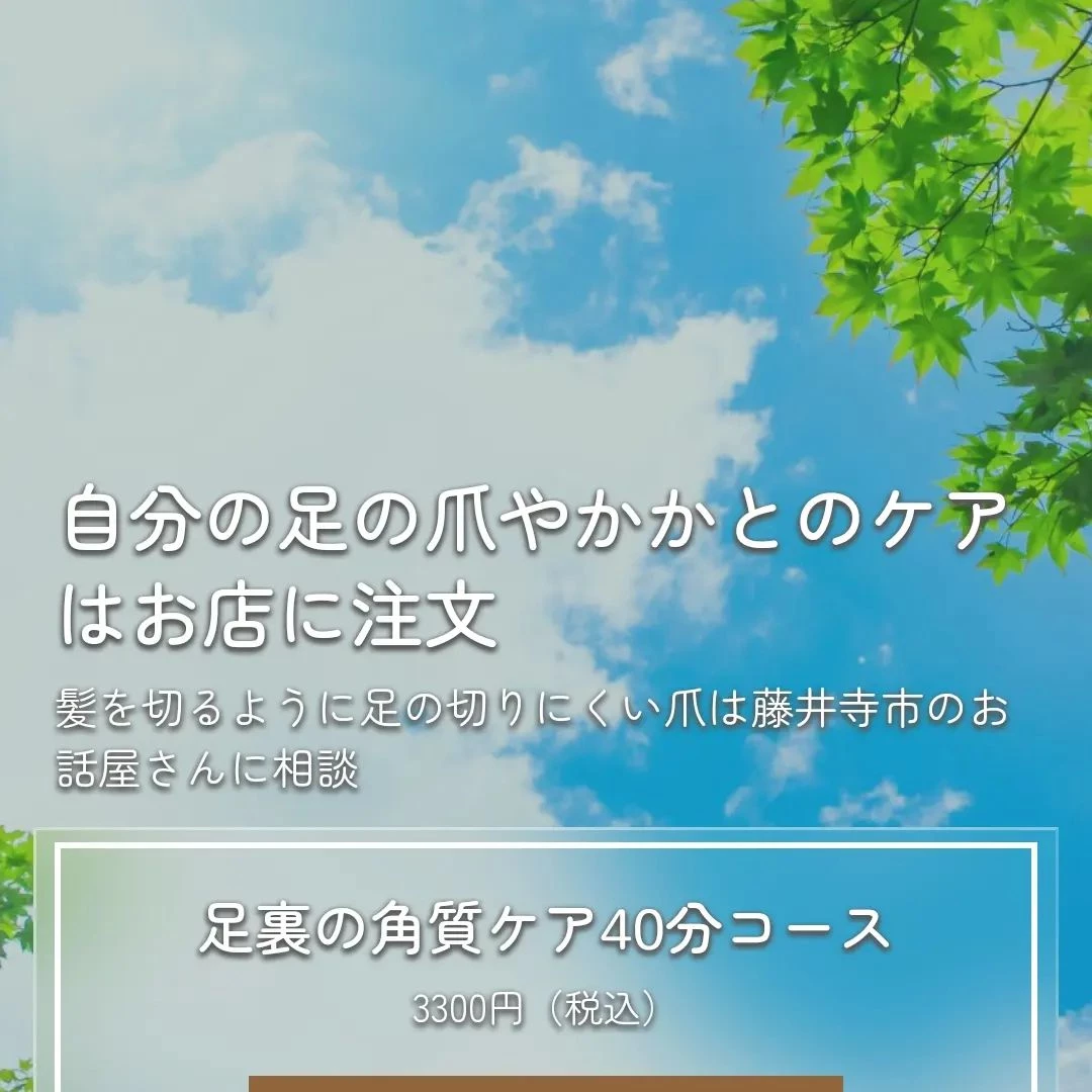 画像2236