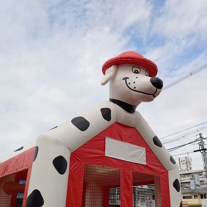 画像2255