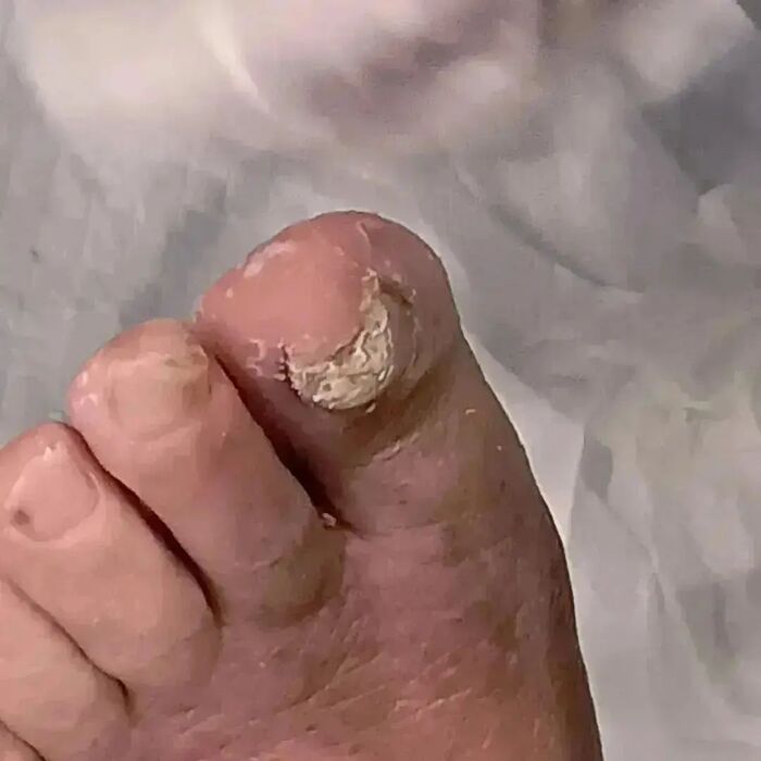 画像2464