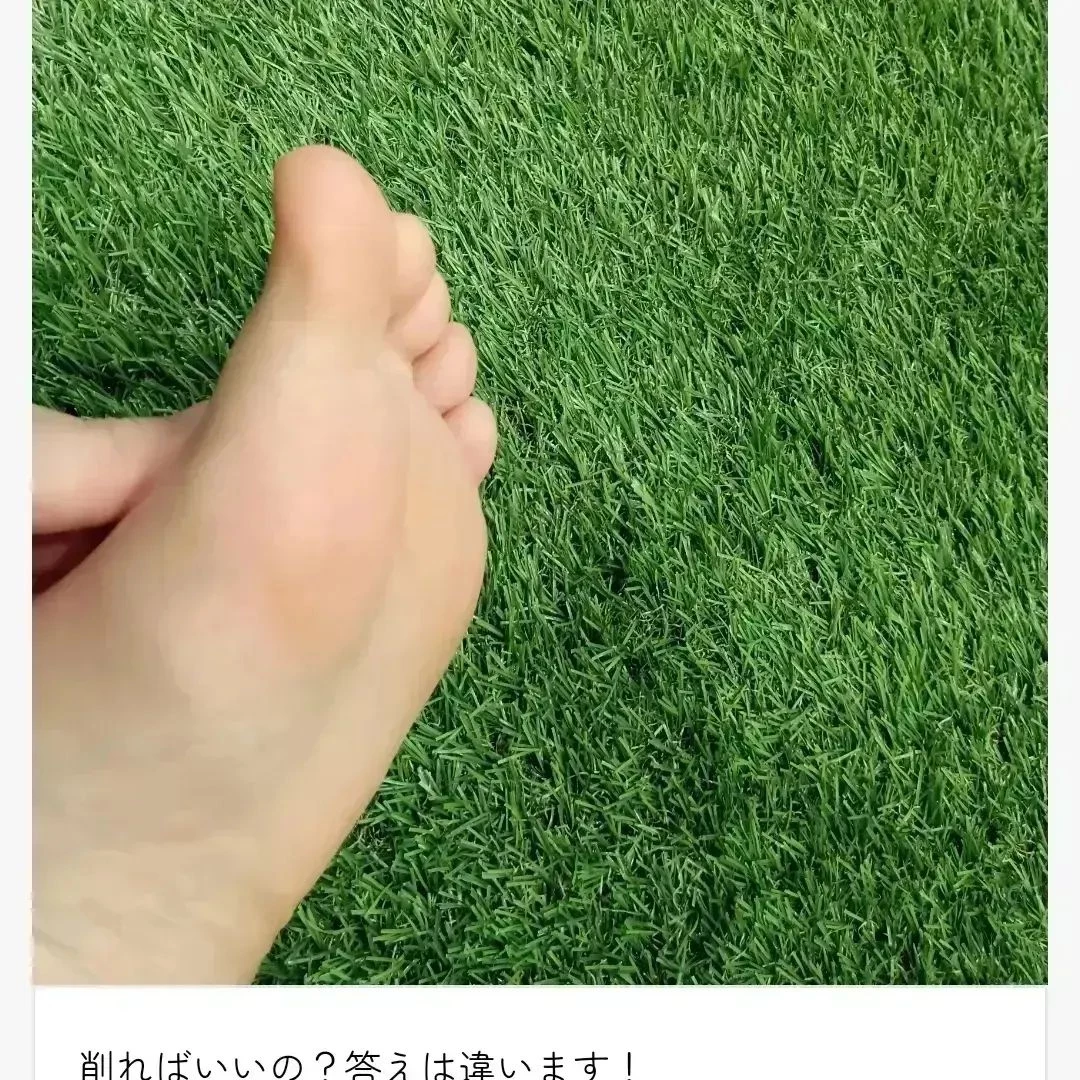 画像2505
