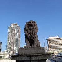 画像2547