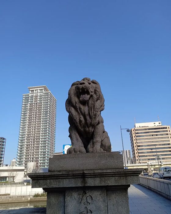 画像2547