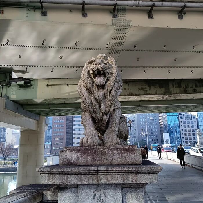 画像2554
