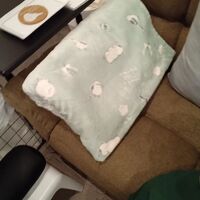 画像2642