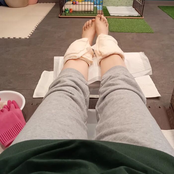 画像2705