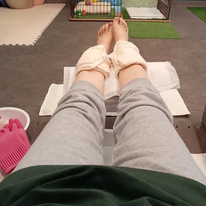 画像2709