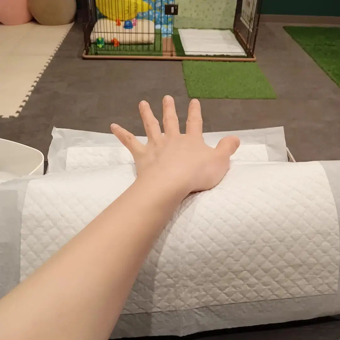 画像2883