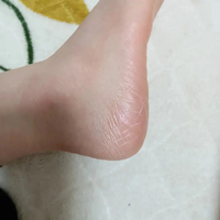 画像2903