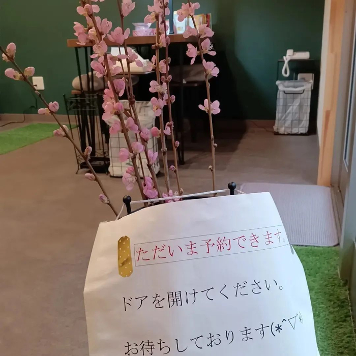 画像3245