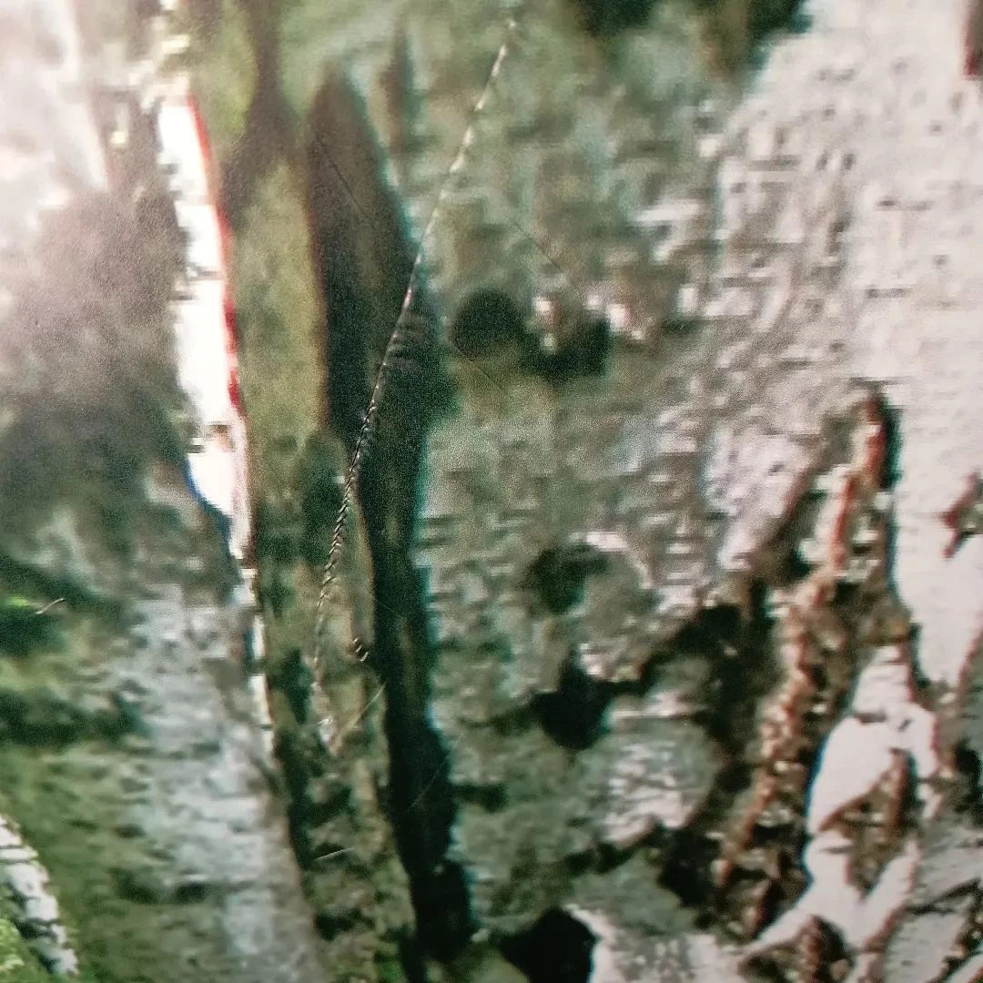 画像335