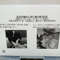 画像3596