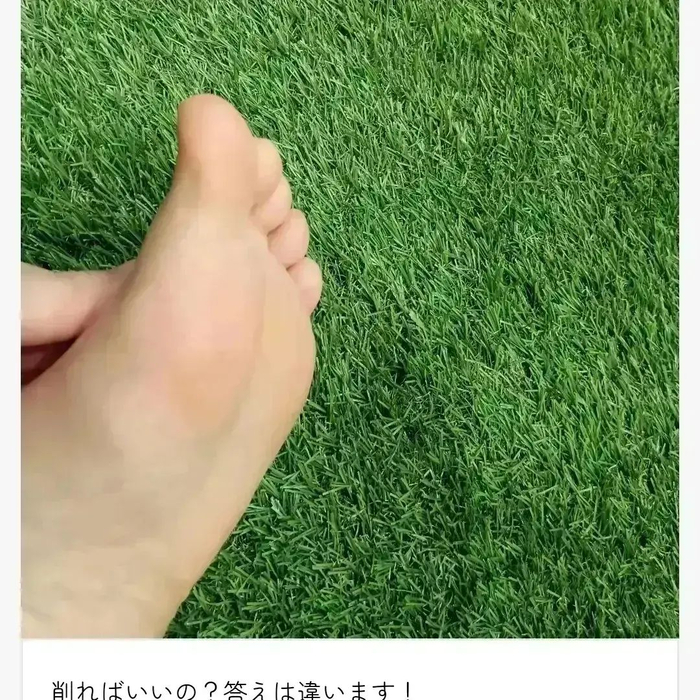 画像3799
