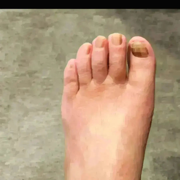 画像3865
