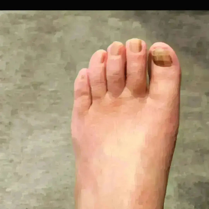 画像3958