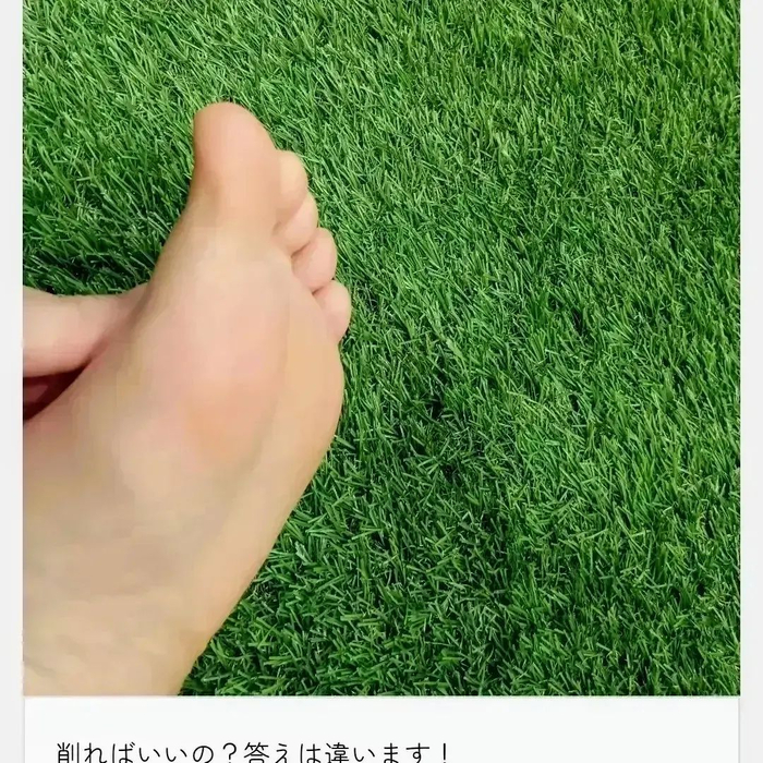 画像4047