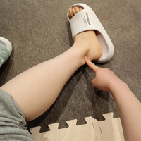 画像4185