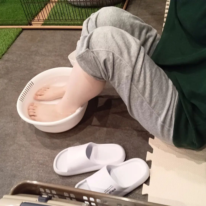 画像4234