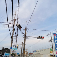 画像4256