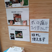 画像4462