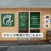 画像4751