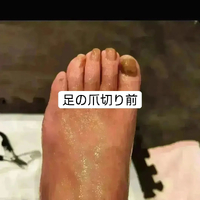 画像4778