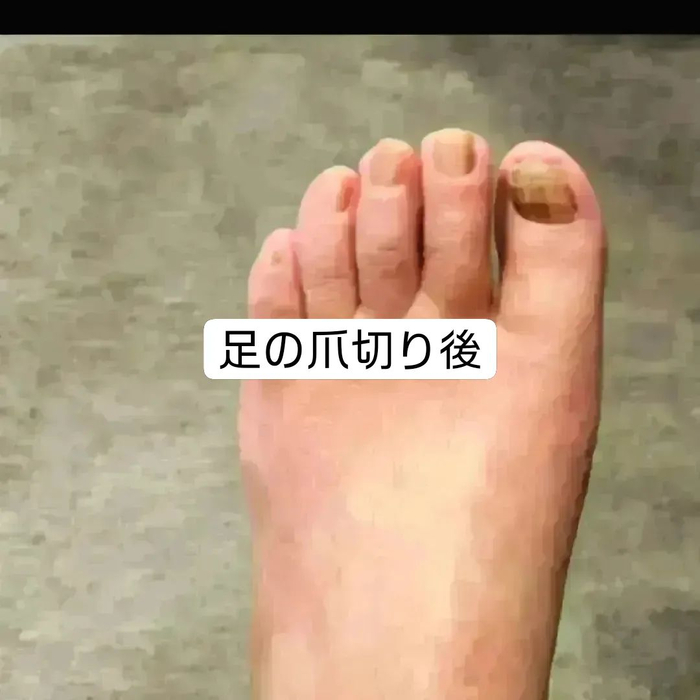 画像4779