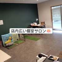 画像4784
