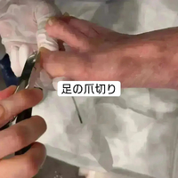 画像4848