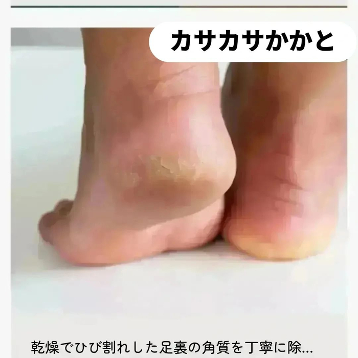 画像4984
