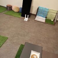 画像504