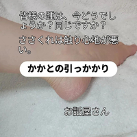 画像5050