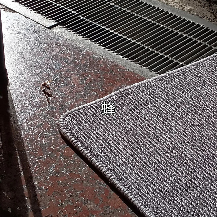 画像5067