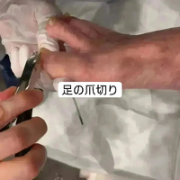 画像5078